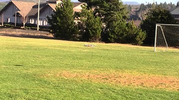 QuadCopter Quad Copter First Flight APM 2.6 MiseryCopter