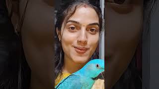 #music #viral #song #bollywood