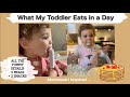 WHAT MY 20 MONTH OLD EATS IN A DAY // Super SIMPLE & HEALTHY meal/snack ideas