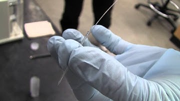 Installing Recording Electrode - 1