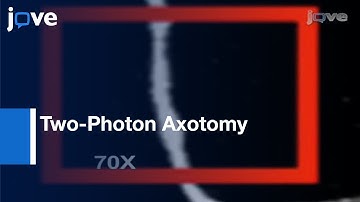 Two-Photon Axotomy & Time-Lapse Confocal Imaging In Live Zebrafish Embryos l Protocol Preview