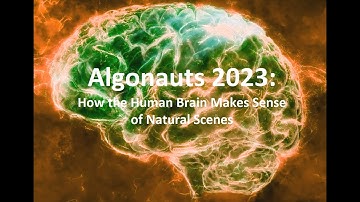The Algonauts Project 2023: CodaLab Submission Walkthrough