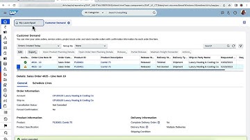 SAP Business ByDesign - Payments via Credit Cards