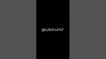 كرومات قران خلفية سوداء | أنس الميمان | سورة الحاقة