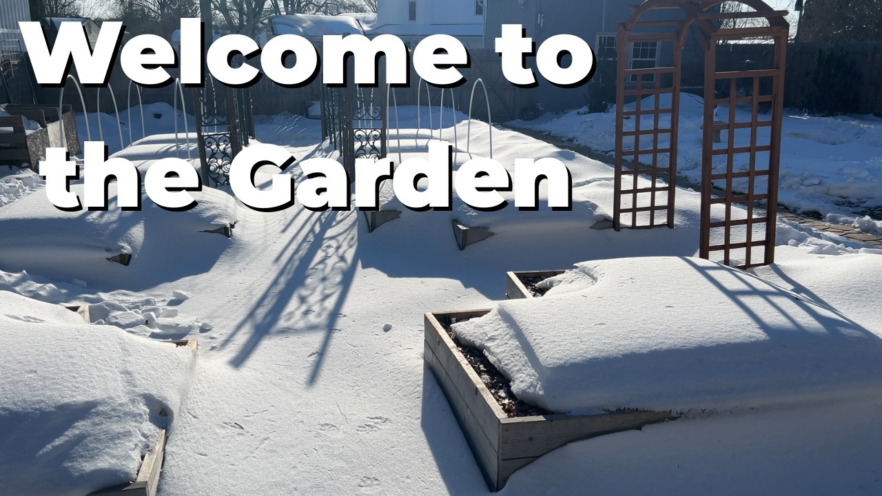 A Year in the Garden - Week 1 - First Sowings