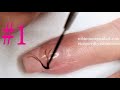 Getting started in Nail Art Design! EVERYTHING you need to know!