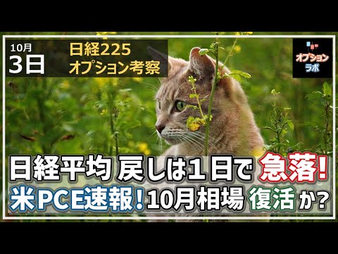 【日経225オプション考察】10/3 日経平均 戻し相場は1日で急落へ逆戻り。米PCE速報も入れて10月相場復活なるかを考察!
