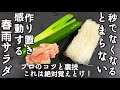 水っぽくならない味しみ和えるだけ！奇跡の春雨サラダ 作り置き常備菜！ きゅうり カニカマ ネギ 副菜 簡単おつまみ 夏野菜レシピ 裏技 ライフハック 夏バテ ヘルシー 中華料理プロレシピ