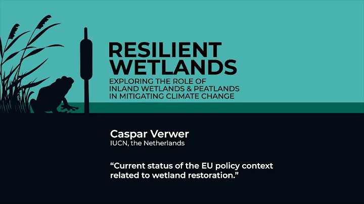 Resilient Wetlands | Caspar Verwer - Current status of the EU policy context on wetland restoration