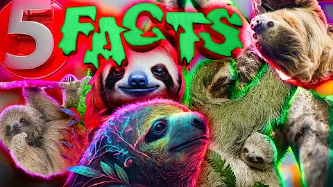 AMAZING! 5 Facts About Sloths That'll Blow Your Mind! #animals #learning
