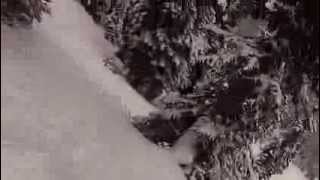 Skiing Crystal Mountain Bear Pits in the Trees POW