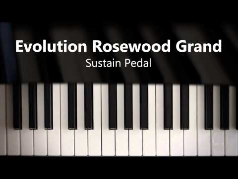 Evolution Rosewood Grand - Sustain Pedal