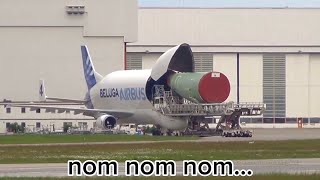 Airbus Beluga Is Very Hungry…