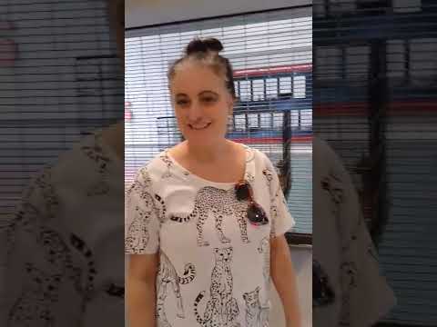 Kitty Adoption Event In Roswell New Mexico 2025 Cats