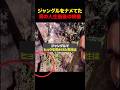 アホすぎる海外の配信者の末路 #shorts