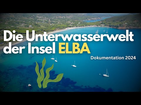 Die Unterwasserwelt der