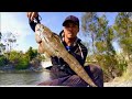 BIG LIZARD LAND BASED FISHING SPOTS GOLD COAST 2020’