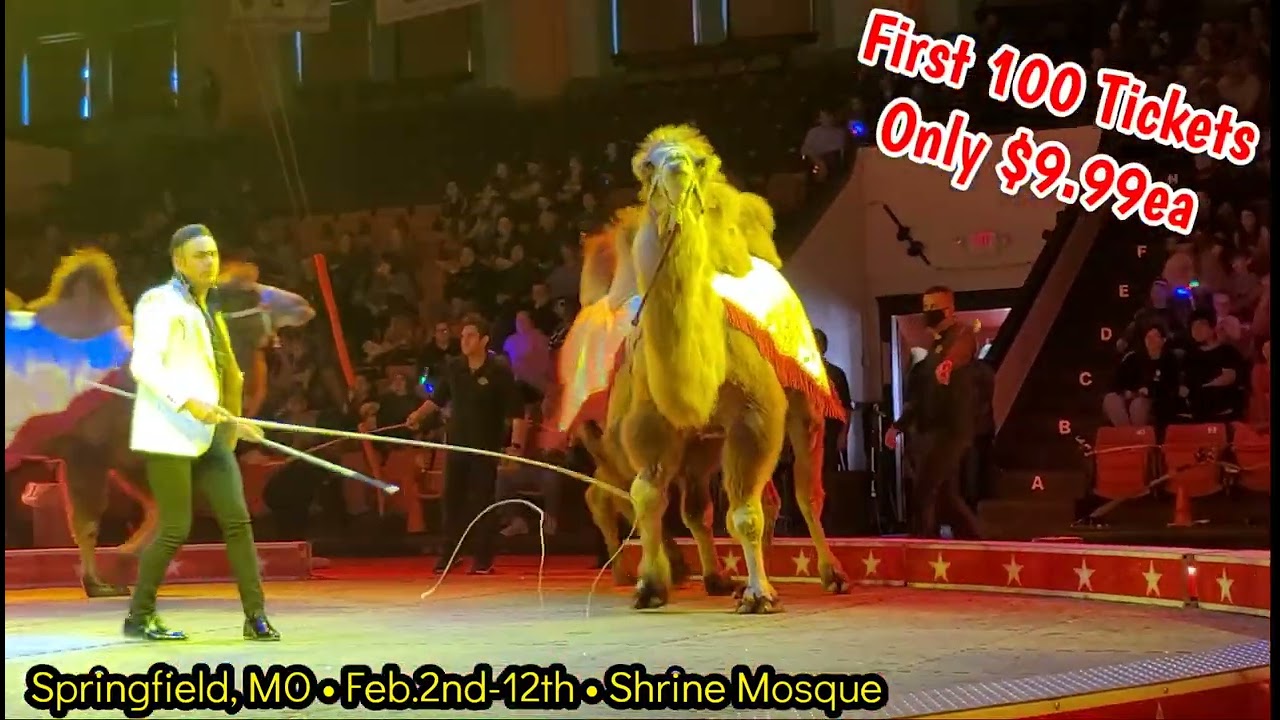 Kids Get a FREE Circus Ticket at Springfield MO Shows!!