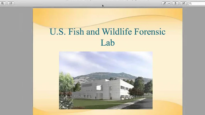 AAFS Career Webinar (Criminalistics)