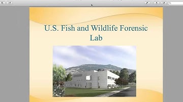 AAFS Career Webinar (Criminalistics)