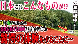 【海外の反応】「日本で大量栽培中だった…」日本の空港に到着したフランス人女性を出迎えた妹。連れられて向かった先で驚きの光景が！→何よここ!?→彼女を待ち受けていた日本の果物に絶句するｗｗ