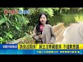 飼主汐止遛狗不牽繩害騎士摔車竟嗆跌倒沒關係！最高可開罰1.5萬｜三立新聞LIVE