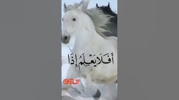 آیات قرانيه قصيره القارى خالد الجليل سورة العاديات
