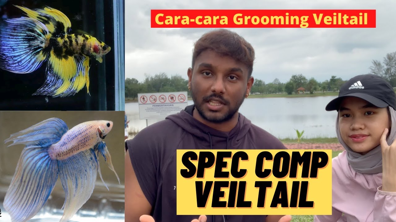 JOM BELAJAR SPEC COMP AVATAR AOC - YouTube