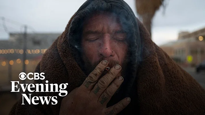 Homeless people across U.S. share their daily struggles as cities aim to solve the crisis