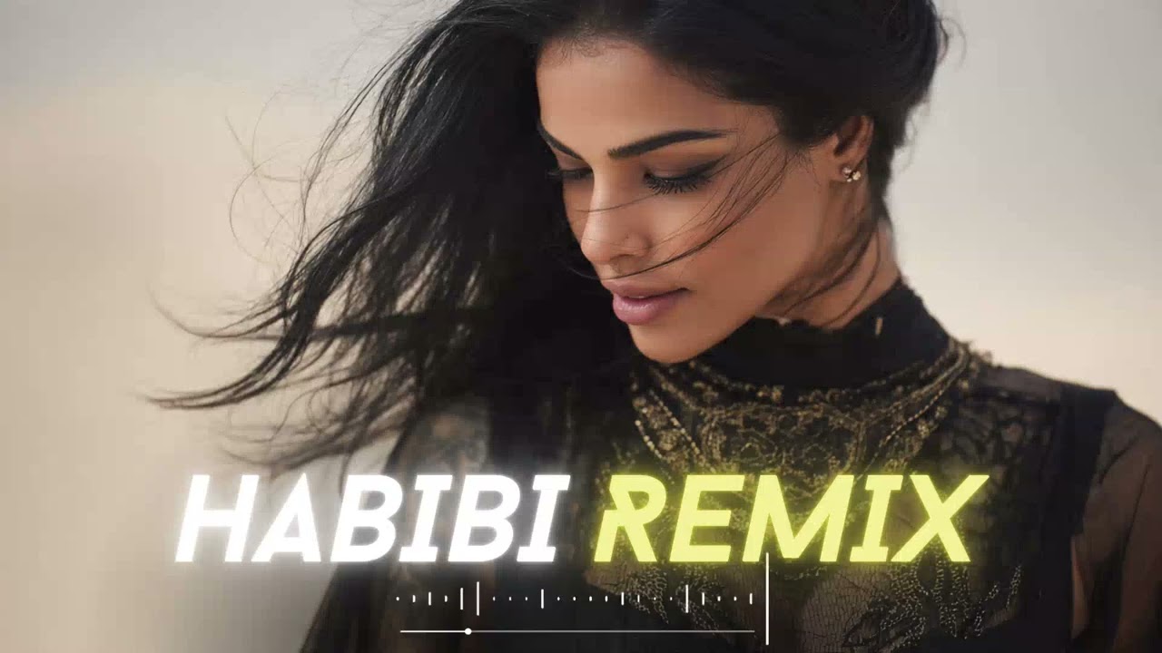 Habibi Flamewave – Nonstop Festival House Party Mix