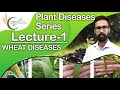 PLANT DISEASES SERIES | WHEAT DISEASES | LECTURE-1 | AGRIMENTORS CHANDIGARH