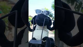 RC CAR DUO GOES WILD HAHA!