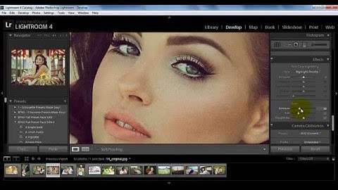 How to Use Effects Panel in Lightroom