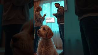 Bunny the talking DOG
Bunny the talking DOG Bunny the talking DOG
