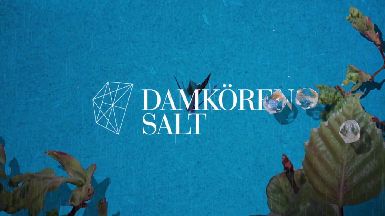 Damkören SALT - Solskur