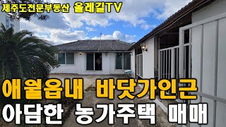 제주도 애월에 위치한 바닷가인근 아담한 농가주택 매매 - 제주도전문부동산채널 올레길TV -