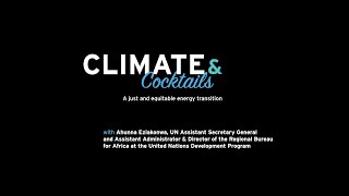 Climate & Cocktails with Ahunna Eziakonwa: The Africa Minigrids Program