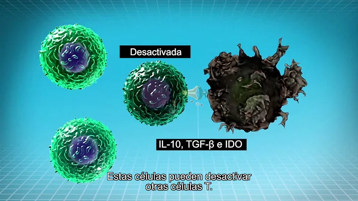 IMMUNOTHERAPY: The Path to a Cancer Cure (for Patients) Spanish Translation