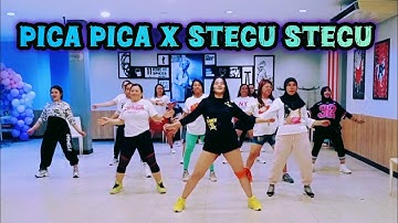 PICA PICA X STECU STECU | TIKTOK VIRAL | SENAM KREASI | CHOREO ZIN CHICIE