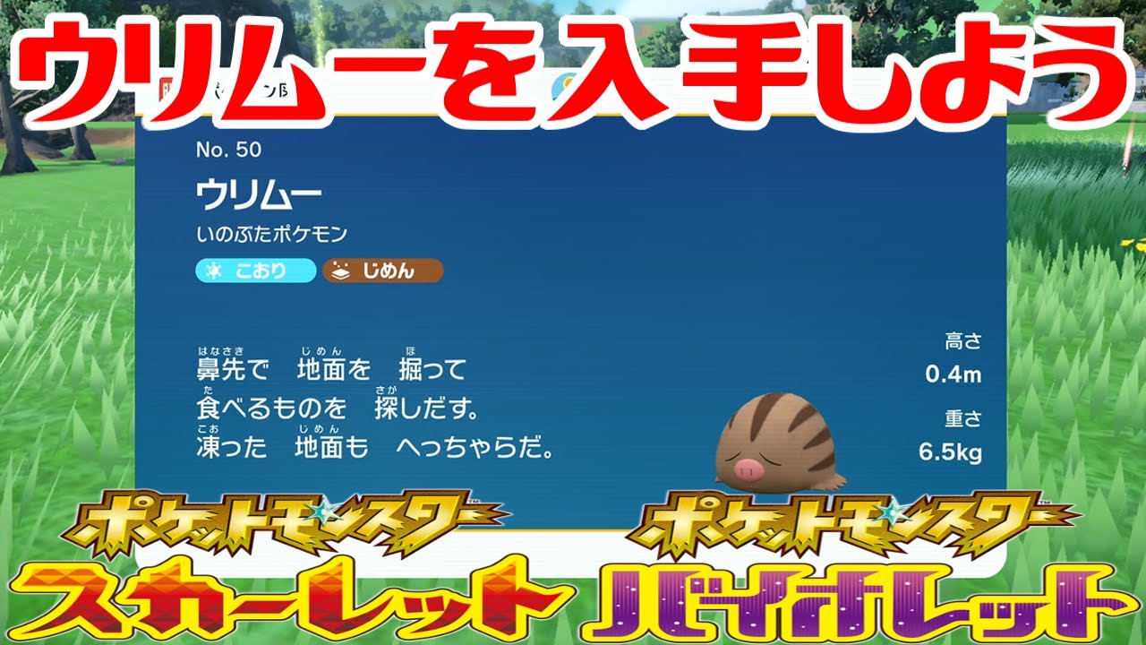 ポケモンSV】ウリムーを入手しよう【ポケットモンスター スカーレット
