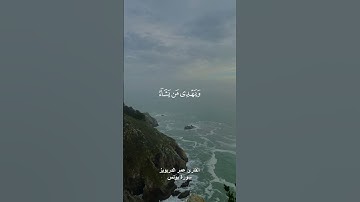 { والله يدعو الى دار السلام } القارئ عمر الدريويز | حالات واتس