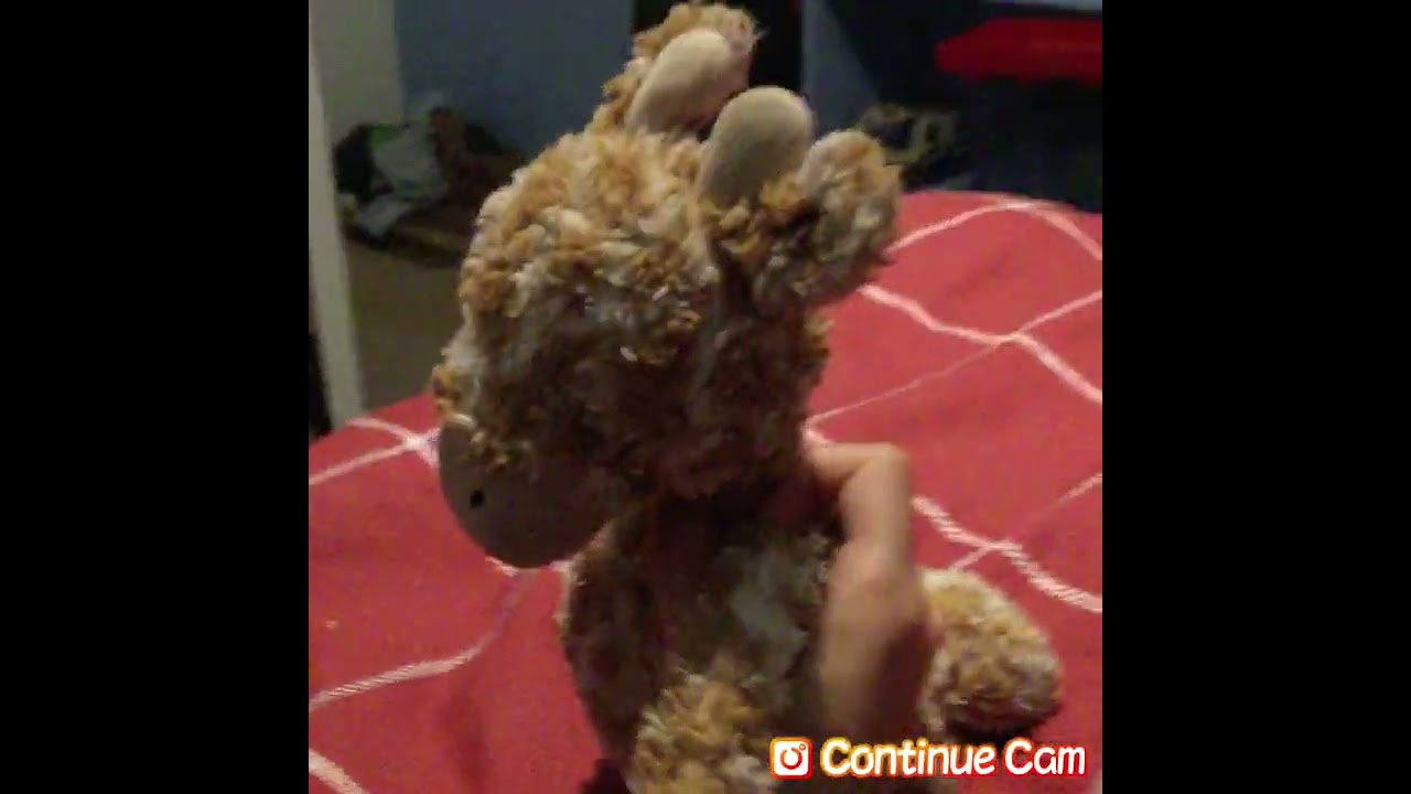 Toms adventure woafy makes a song every one hates and they get revenge woafy a song