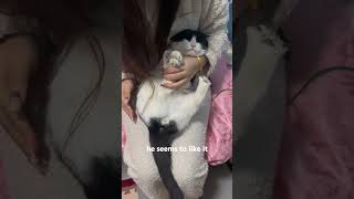 Funny Pets | 2023😂 Funny Dogs And Funny Cats Videos 🐱 🐕 😄 #5