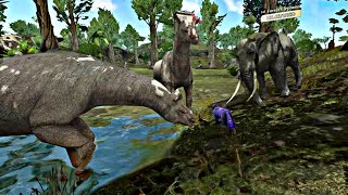 The Wolf - 50k Lavender Wolf vs Featured Tropical Forest Coop 🏆 screenshot 2