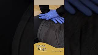 Lower Back chiropractic relief Health Spinealign
