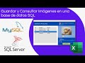 Insertar y Consultar Imágenes en una Base de datos SQL desde Excel
