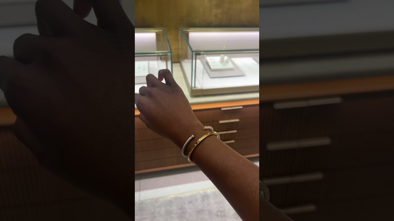 diaries of a shopaholic 