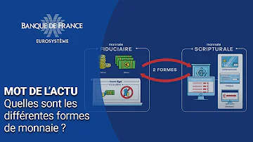 Quels sont les 2 types de monnaie