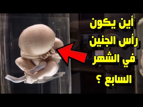 أين يكون رأس الجنين في الشهر السابع