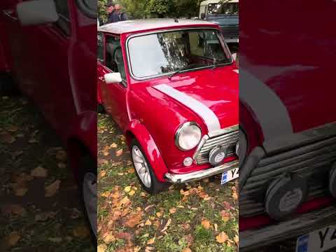 Himley classic & retro car show part 5
